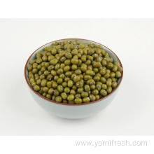 Green Beans 25KG